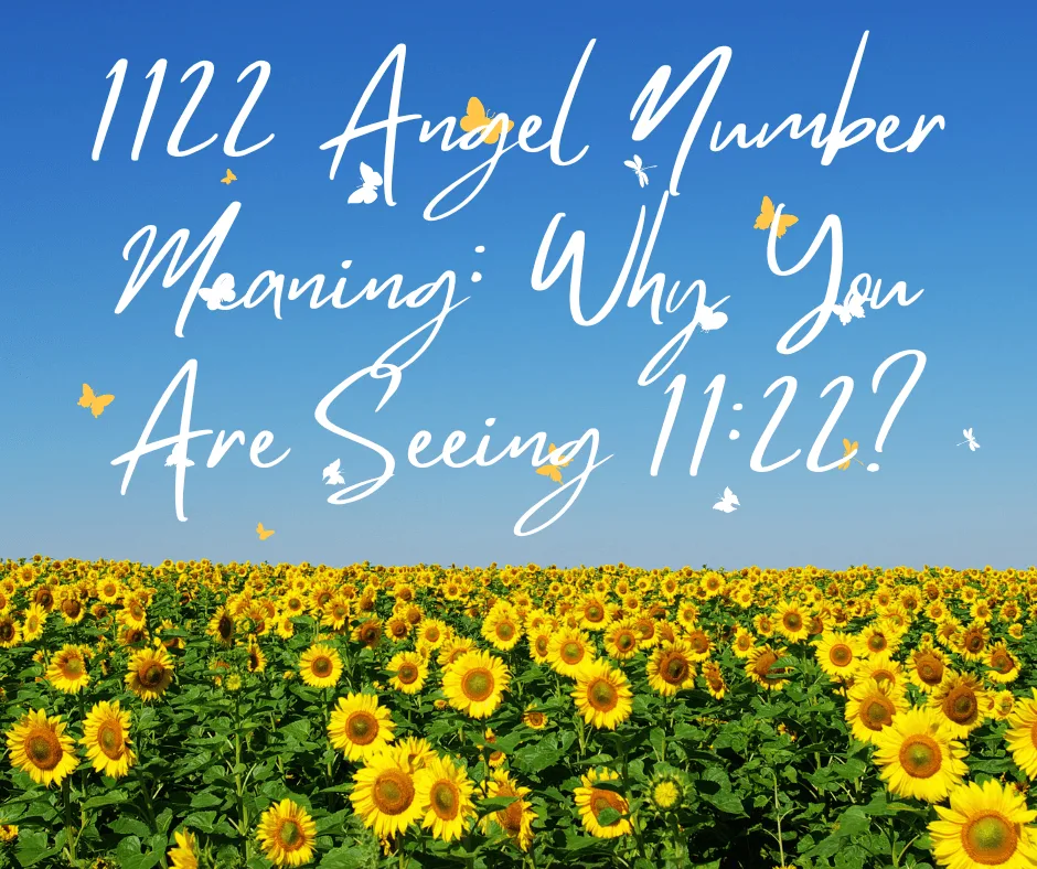 1122 Angel Number Meaning: Why You Are Seeing 11:22?
